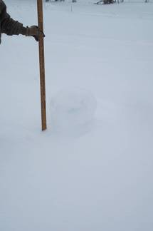 17 inch snow roller