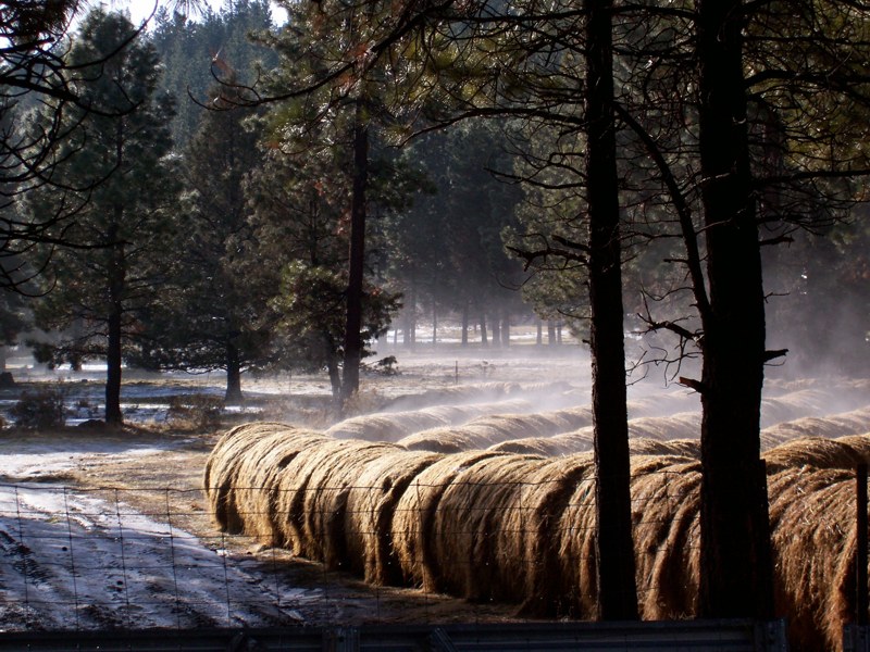 A stackyard in the morning
