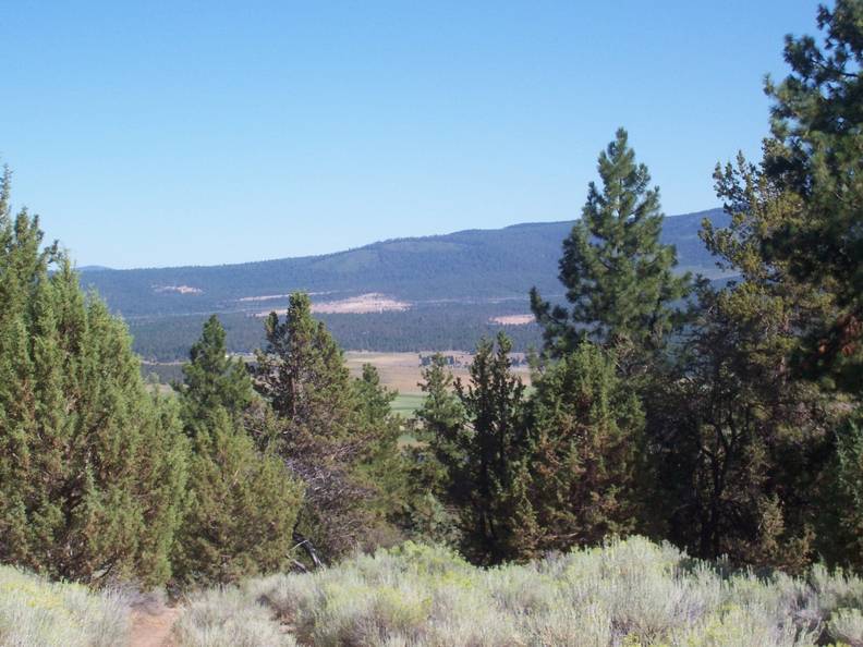 South shoulder of Bug butte.jpg