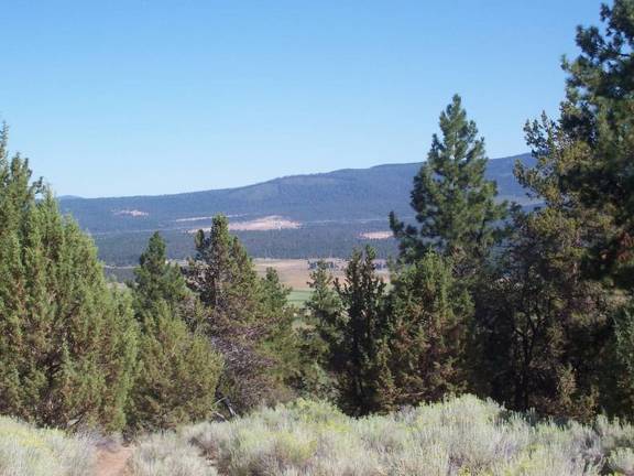 South shoulder of Bug butte