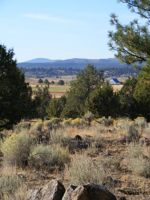 View from a Hill