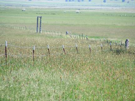 What a Fence