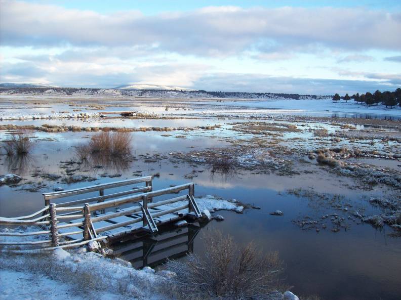 Winter on Whiskey Creek.jpg