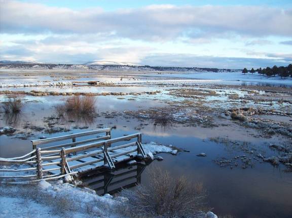 Winter on Whiskey Creek