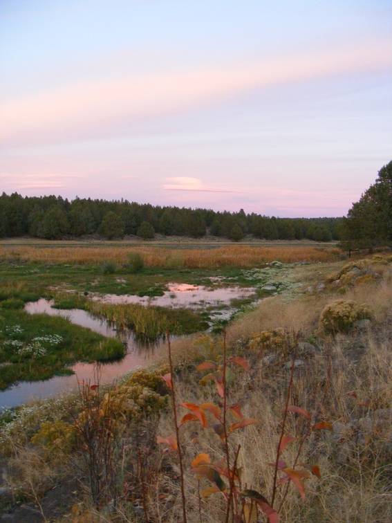 A Pink evening on Whiskey Creek