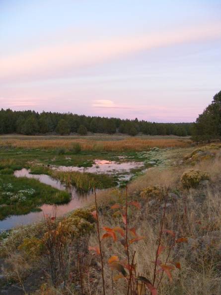 A Pink evening on Whiskey Creek.jpg