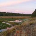 A Pink evening on Whiskey Creek