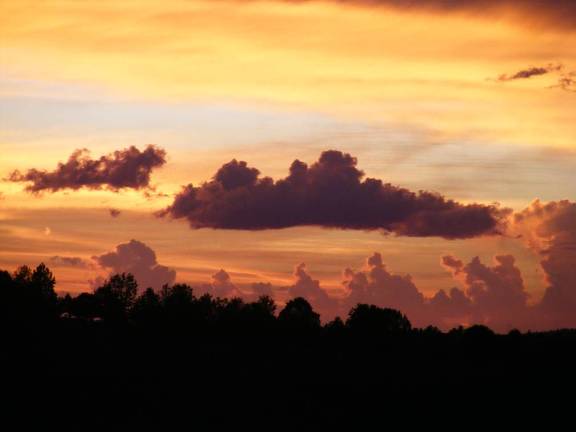 Clouds or Trees