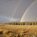 Double Rainbow