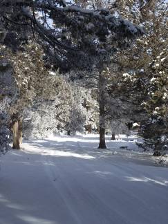 Our driveway in winter