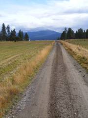 Rainy Road