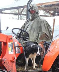 Wet driver and puppy