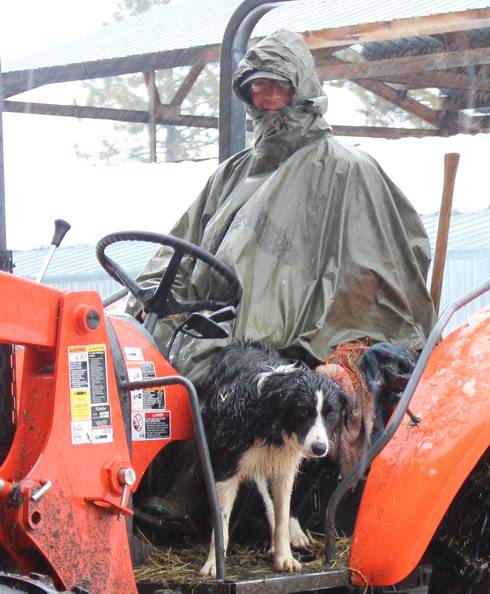 Wet driver and puppy.jpg