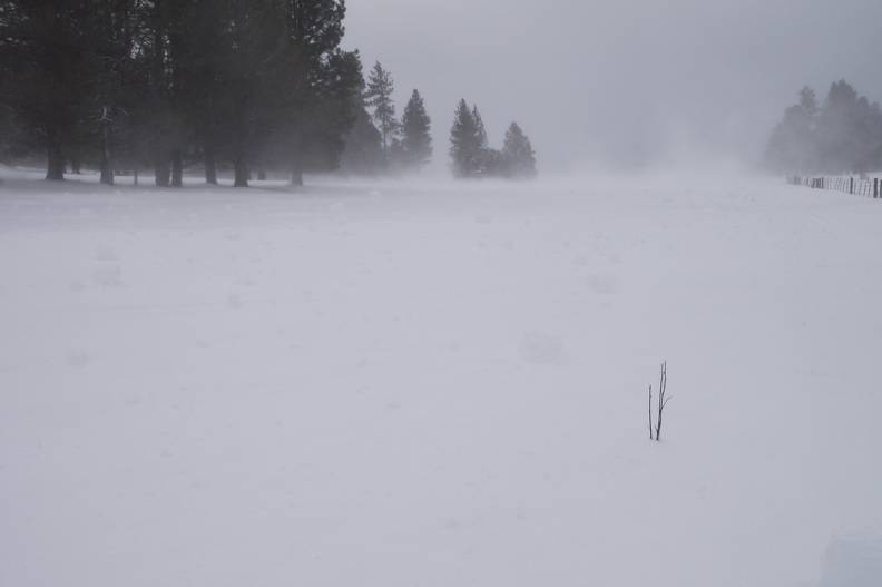 Snow rollers as they formed