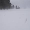 Snow rollers as they formed