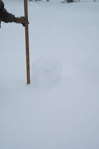 17 inch snow roller.JPG