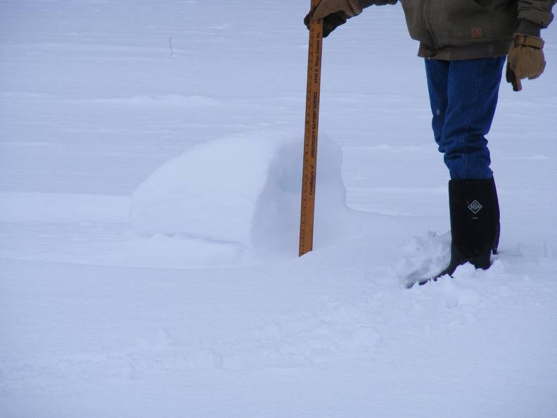 18 inch snow roller