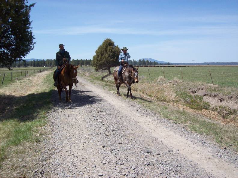 Cattle drive finished.jpg