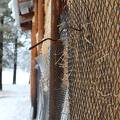 Deer netting close.JPG