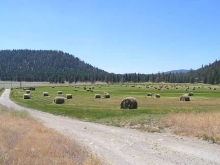 Field of bales