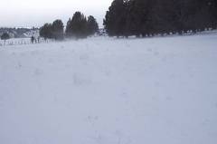 field of snow rollers