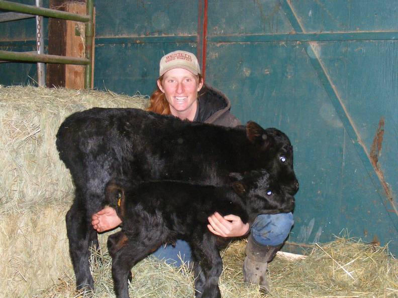 Mini_ Susan and another calf_.jpg