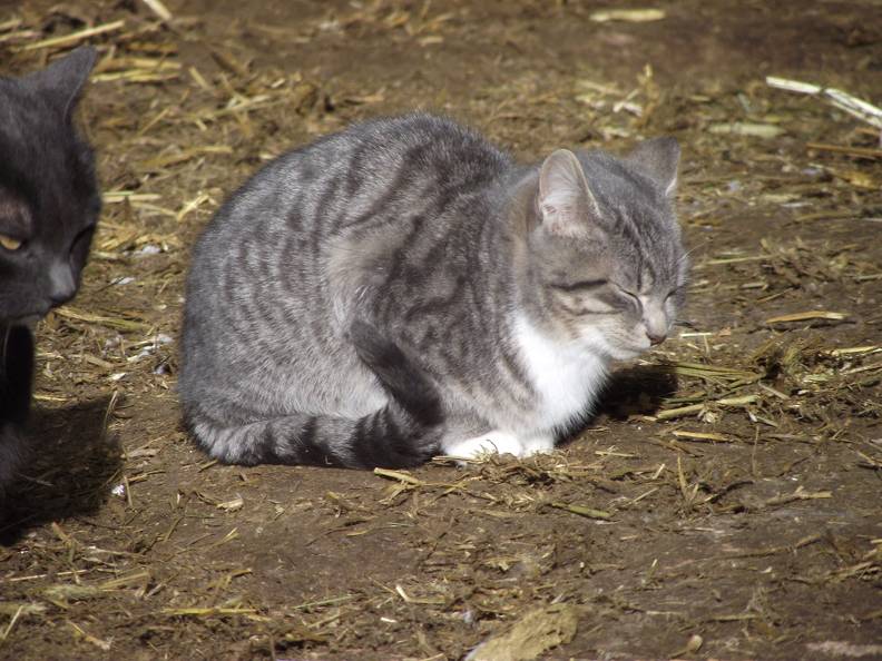 Mouse abatement personnel _3_.jpg