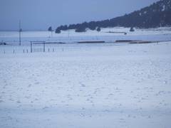 Snow rolers in meadow