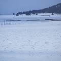 Snow rolers in meadow