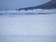 Snow rolers in meadow