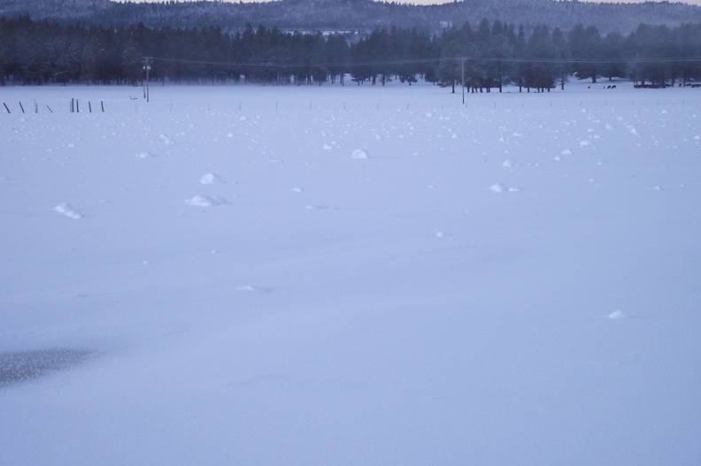 Snow rollers after snow.JPG