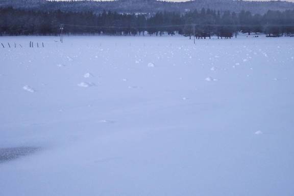 Snow rollers after snow