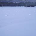 Snow rollers after snow