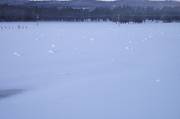 Snow rollers after snow