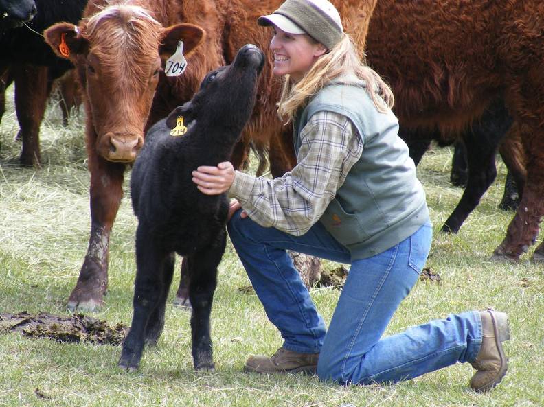 2009 Calf getting petted.jpg