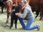 2009 Calf getting petted