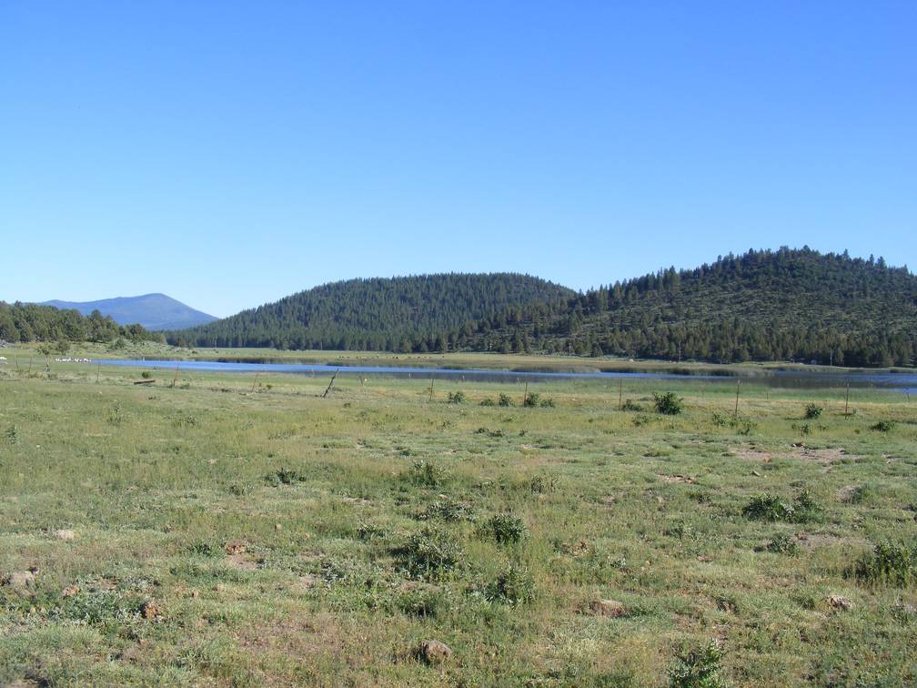 Buttes and Yainax 