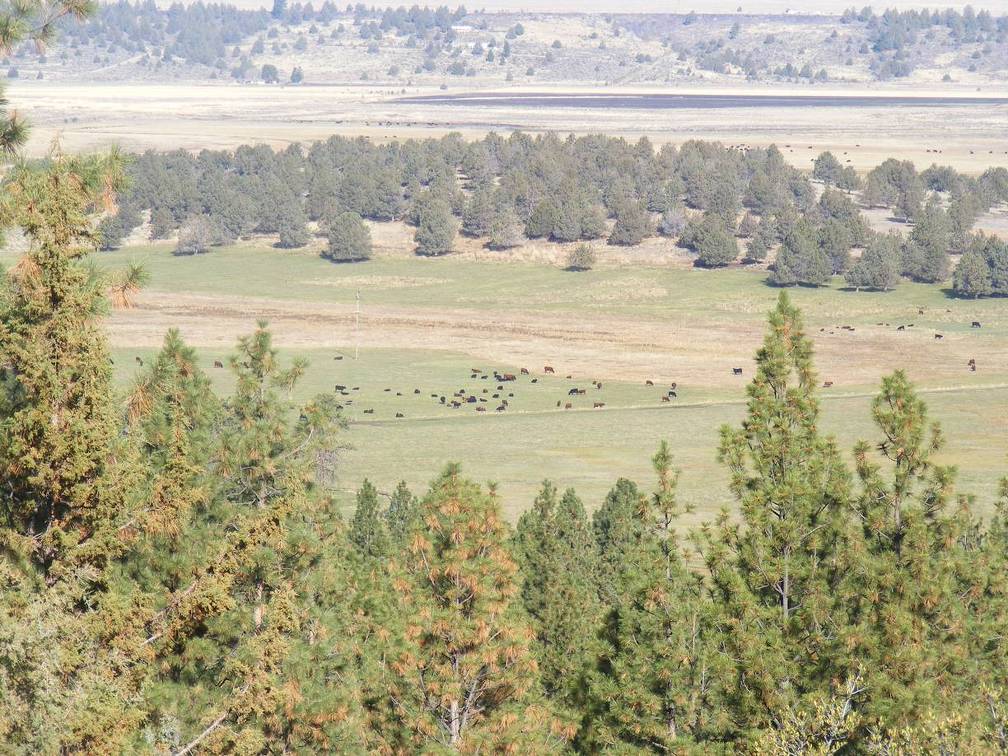 View from the Butte of the ranch