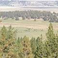 View from the Butte of the ranch