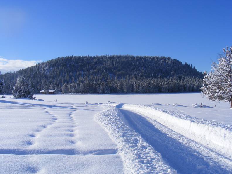 Scenic driveway in winter