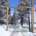 Our shiny new front gate