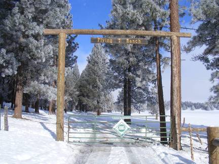 Our shiny new front gate