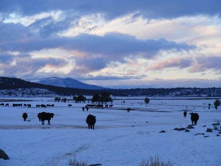 Winter Sunset