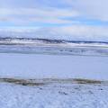 Ducks and Geese living on welfare for the winter