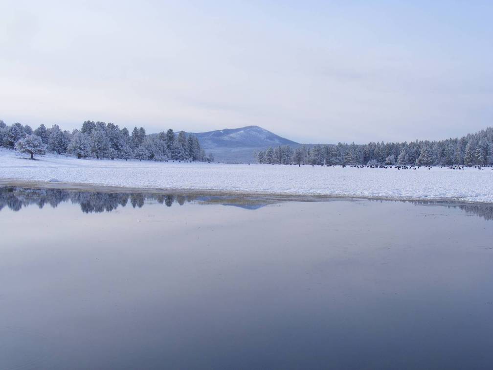 So Called "Spring" at the Flying T 