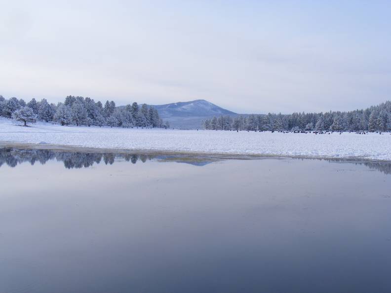 So Called "Spring" at the Flying T 