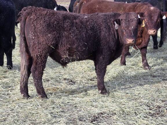 404 partial white right eye