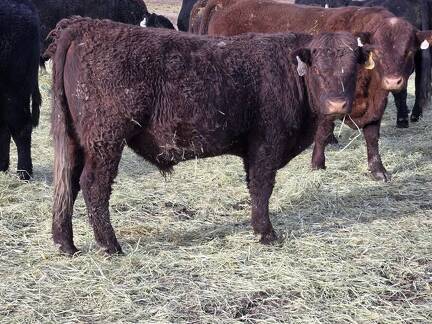 404 partial white right eye