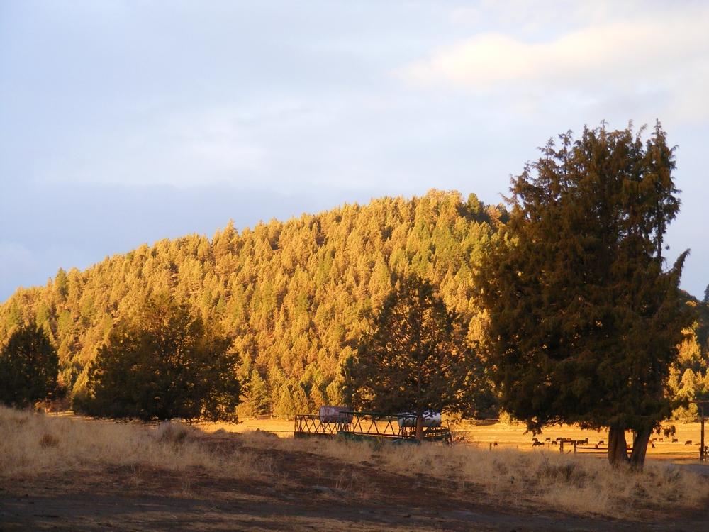 Bug butte in early morning